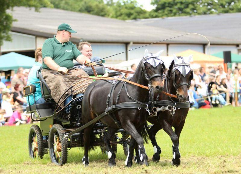 Pferde- und Ponyschau - Gut Beningsfeld 17.06.2012